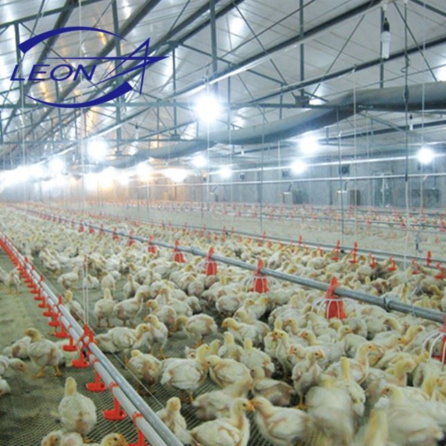 A Brand New Nipple Drinking System For Chickens