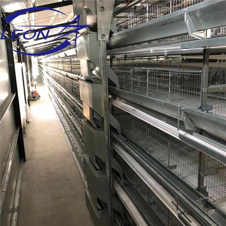 Automatic Feeding Line And Drinking Line in Cage Automatic Feeding Line And Drinking Line in Cage