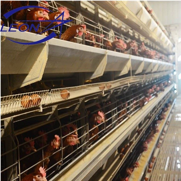 Sturdy H-Type Layer Cage Sturdy H-Type Layer Cage