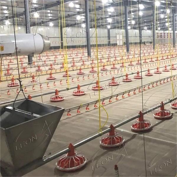 Complete Automatic Poultry Equipment