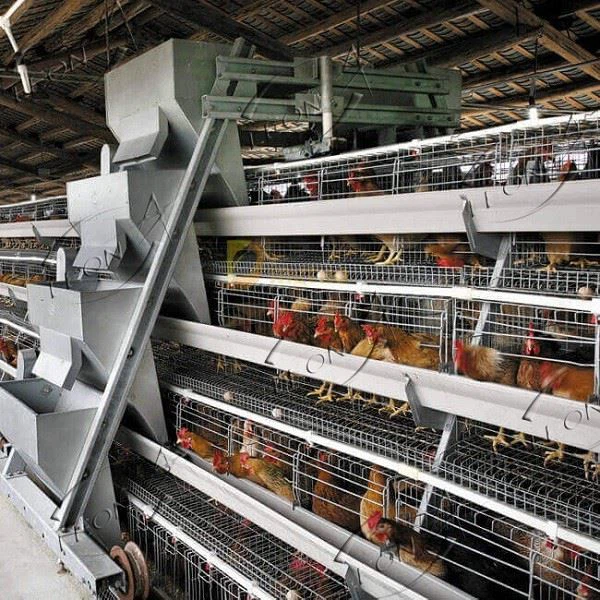 H Type Poultry Cages Equipment Layer Cage System In Animal Cages H Type Poultry Cages Equipment Layer Cage System In Animal Cages