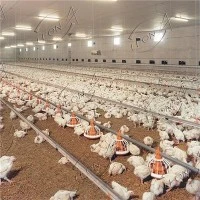 Оборудване за отглеждане на пилета бройлери