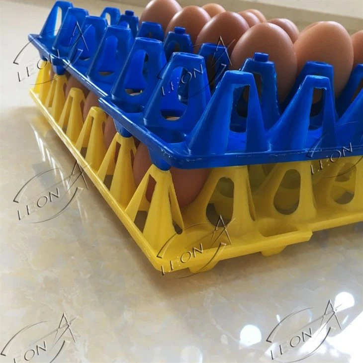 Plastic Egg Tray Made in China