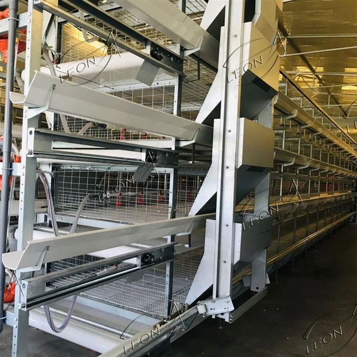 Poultry Farm H Type Broiler Chicken Cage