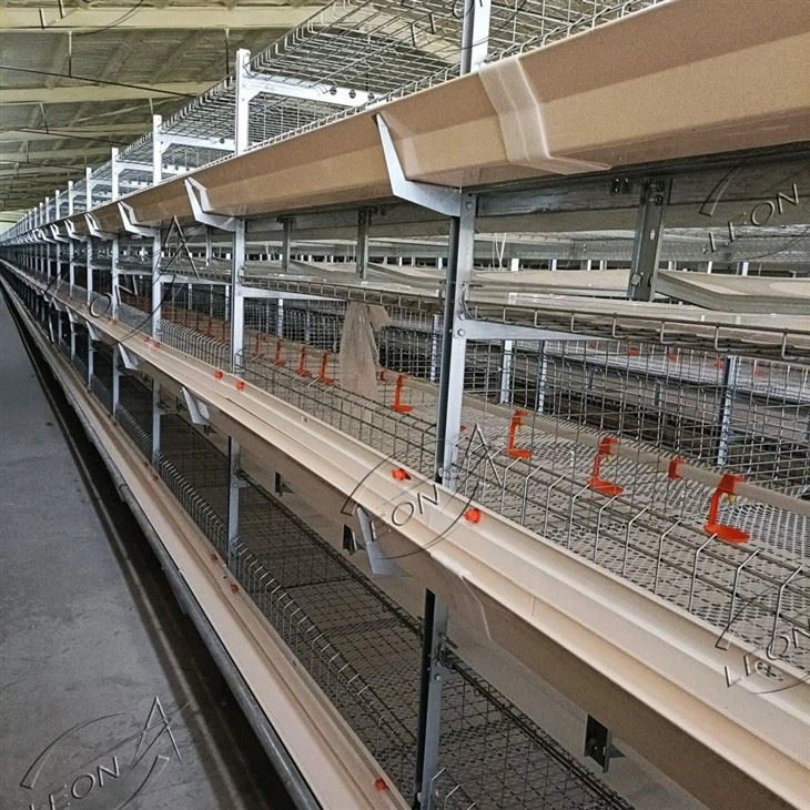 Poultry Farm H Type Broiler Chicken Cage